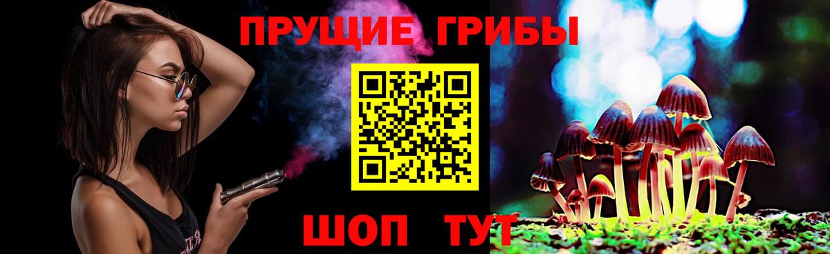 Мичуринск  Галлюциногенные грибы Psilocybine cubensis  Вход с VPN  Галлюциногенные грибы мицелий 
