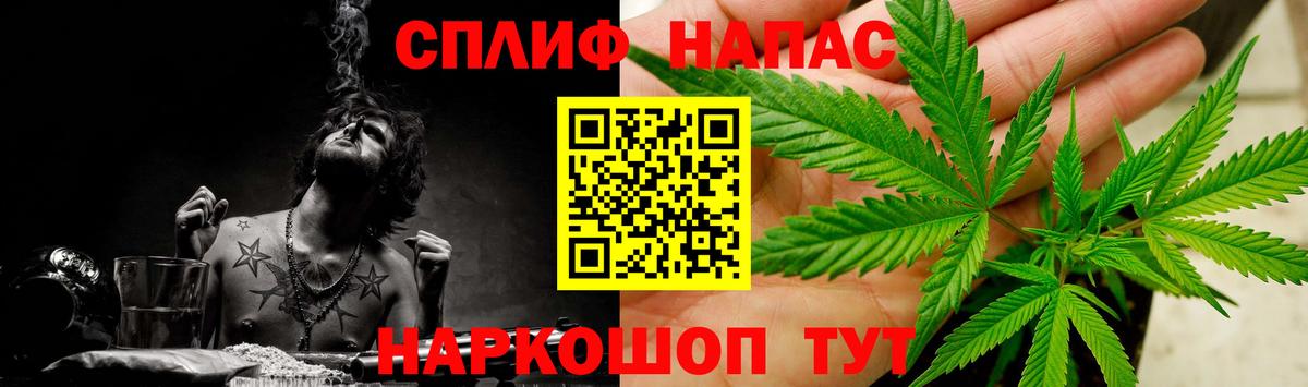 Канабис семена Мичуринск